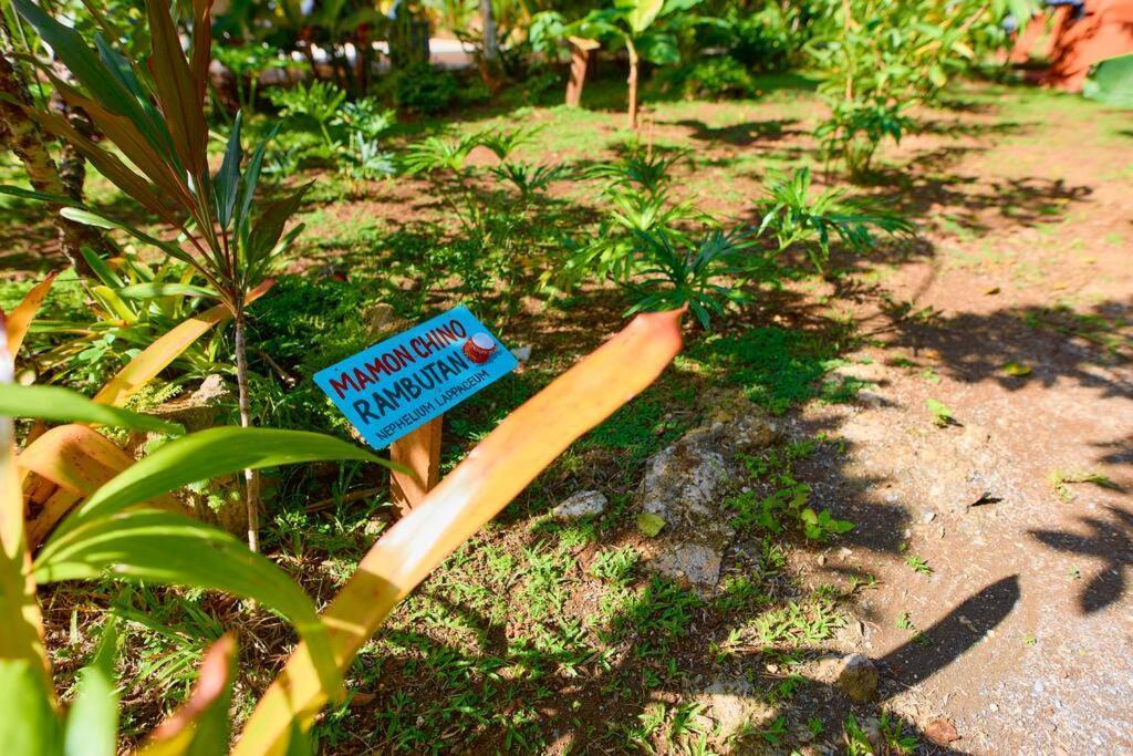 Casa Kristel - Exquisite Villa Getaway Puerto Viejo de Talamanca Екстериор снимка